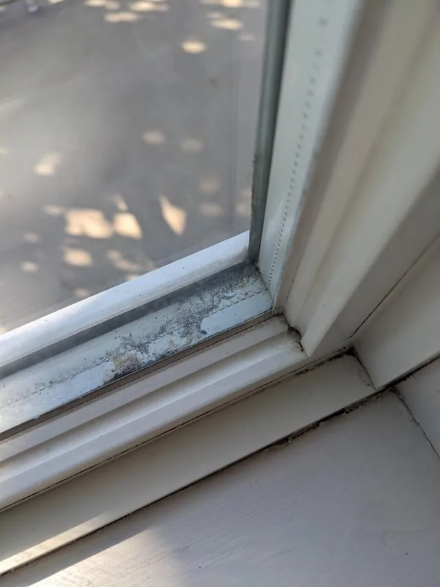 Mould built up along the bottom edge of the glass, over the metal spacer, where it meets the window profile.